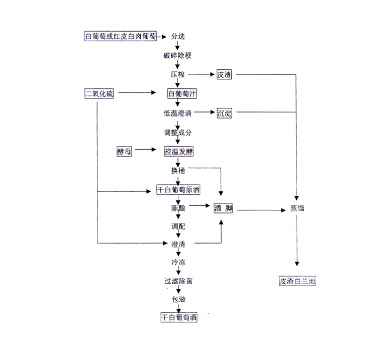 干白葡萄酒生產(chǎn)工藝流程